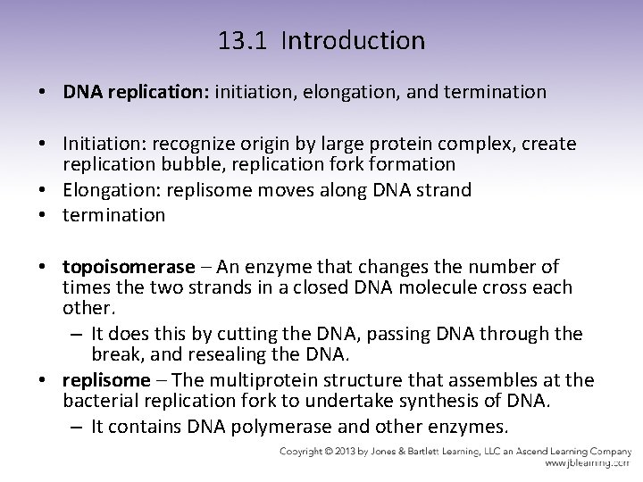 13. 1 Introduction • DNA replication: initiation, elongation, and termination • Initiation: recognize origin