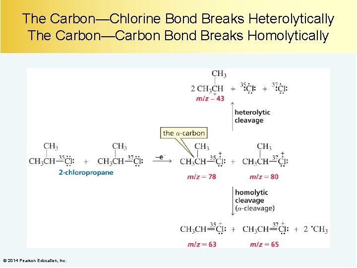 The Carbon—Chlorine Bond Breaks Heterolytically The Carbon—Carbon Bond Breaks Homolytically © 2014 Pearson Education,