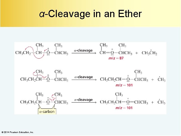 α-Cleavage in an Ether © 2014 Pearson Education, Inc. 