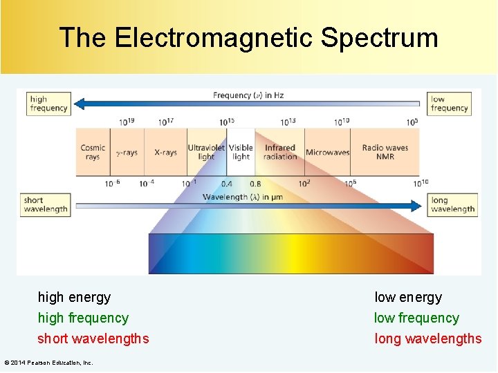 The Electromagnetic Spectrum high energy high frequency short wavelengths © 2014 Pearson Education, Inc.