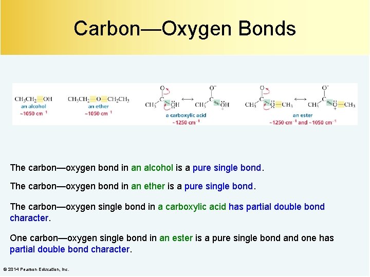 Carbon—Oxygen Bonds The carbon—oxygen bond in an alcohol is a pure single bond. The