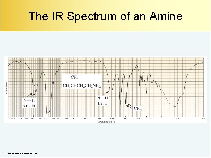 The IR Spectrum of an Amine © 2014 Pearson Education, Inc. 