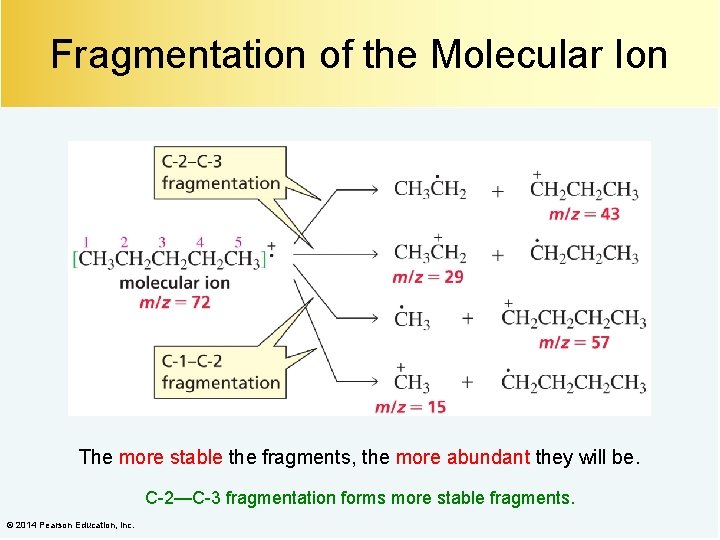 Fragmentation of the Molecular Ion The more stable the fragments, the more abundant they