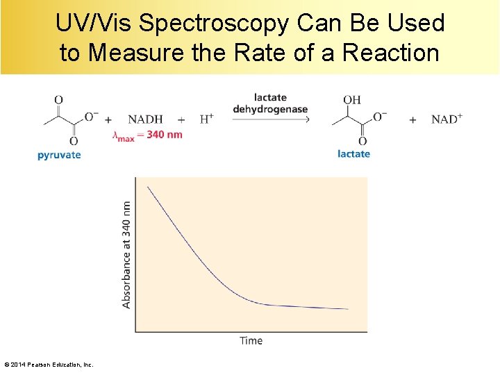 UV/Vis Spectroscopy Can Be Used to Measure the Rate of a Reaction © 2014