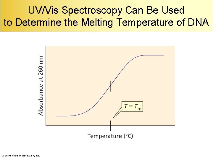 UV/Vis Spectroscopy Can Be Used to Determine the Melting Temperature of DNA © 2014