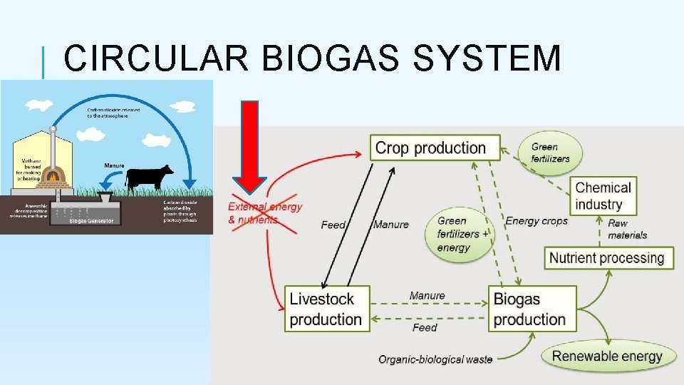 CIRCULAR BIOGAS SYSTEM 