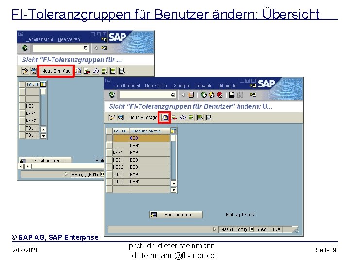 FI-Toleranzgruppen für Benutzer ändern: Übersicht © SAP AG, SAP Enterprise 2/19/2021 prof. dr. dieter