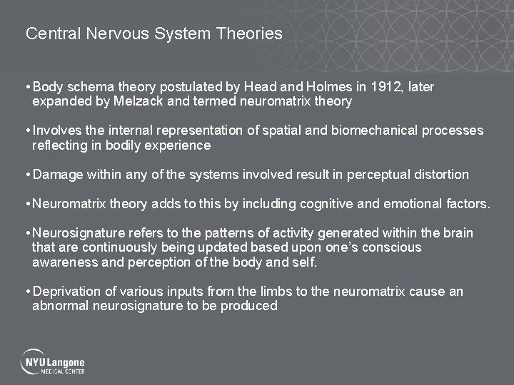 Central Nervous System Theories • Body schema theory postulated by Head and Holmes in