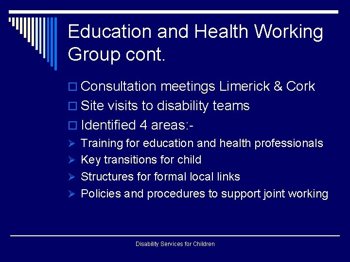 Education and Health Working Group cont. o Consultation meetings Limerick & Cork o Site Education and Health Working Group cont. o Consultation meetings Limerick & Cork o Site