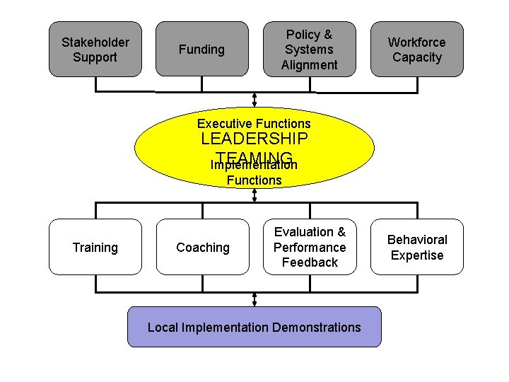 Stakeholder Support Policy & Systems Alignment Funding Workforce Capacity Executive Functions LEADERSHIP TEAMING Implementation