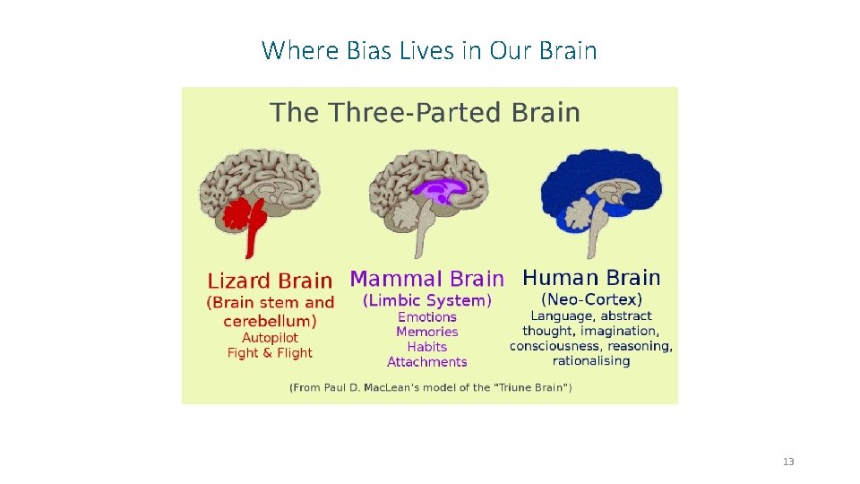 Where Bias Lives in Our Brain 13 