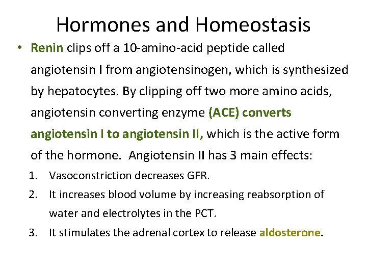 Hormones and Homeostasis • Renin clips off a 10 -amino-acid peptide called angiotensin I