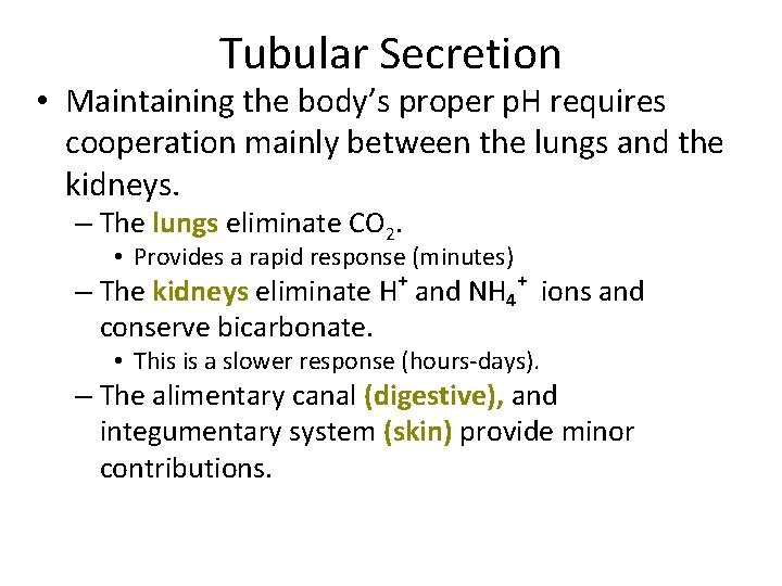 Tubular Secretion • Maintaining the body’s proper p. H requires cooperation mainly between the
