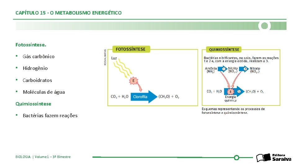 CAPÍTULO 15 - O METABOLISMO ENERGÉTICO Fotossíntese. • Gás carbônico • Hidrogênio • Carboidratos