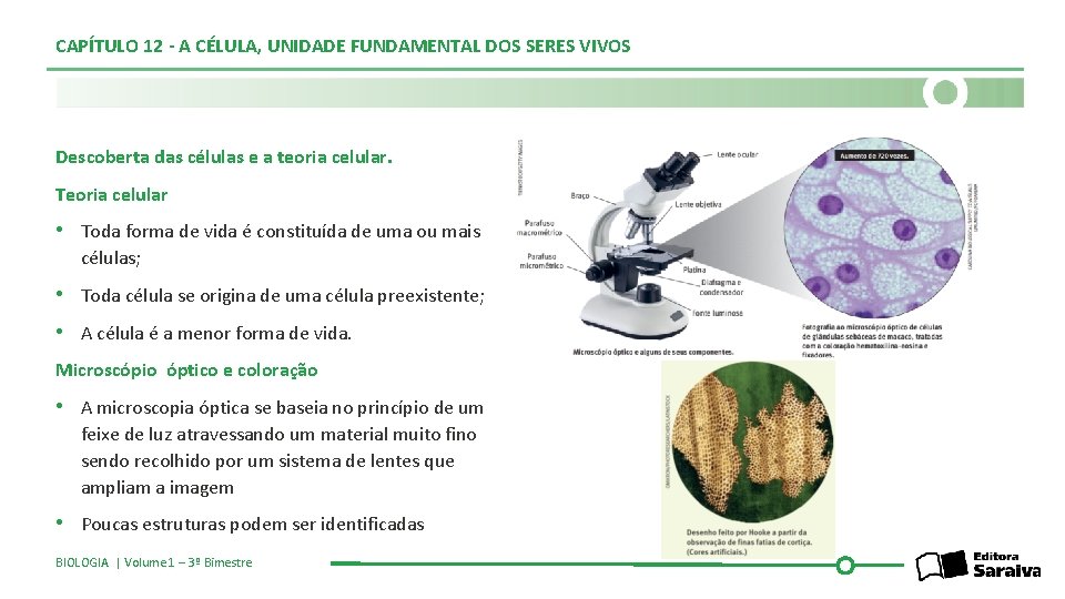 CAPÍTULO 12 - A CÉLULA, UNIDADE FUNDAMENTAL DOS SERES VIVOS Descoberta das células e