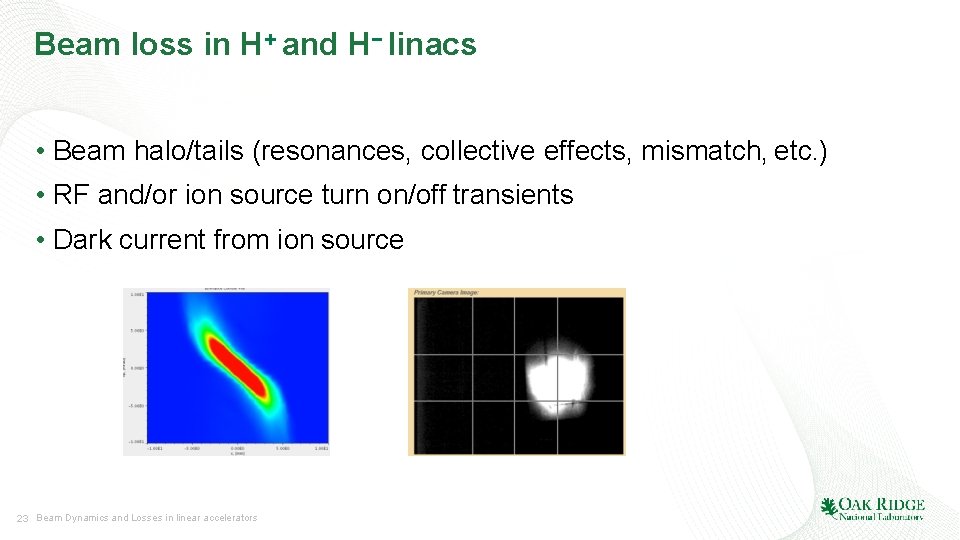 Beam loss in H+ and H− linacs • Beam halo/tails (resonances, collective effects, mismatch,