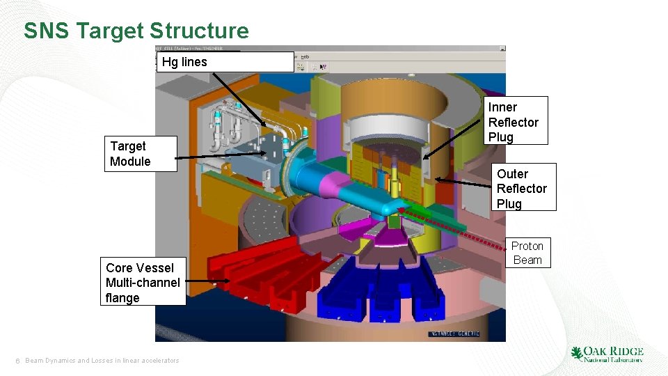 SNS Target Structure Hg lines Target Module Core Vessel Multi-channel flange 6 Beam Dynamics