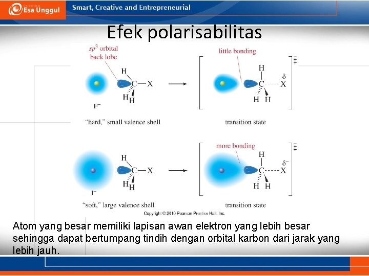 Efek polarisabilitas Atom yang besar memiliki lapisan awan elektron yang lebih besar sehingga dapat