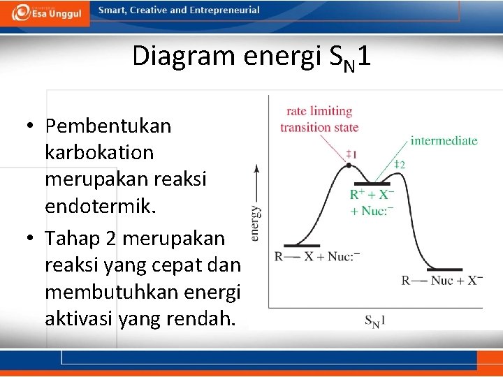 Diagram energi SN 1 • Pembentukan karbokation merupakan reaksi endotermik. • Tahap 2 merupakan