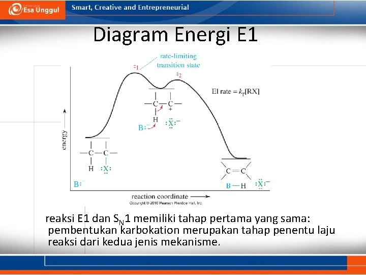 Diagram Energi E 1 reaksi E 1 dan SN 1 memiliki tahap pertama yang