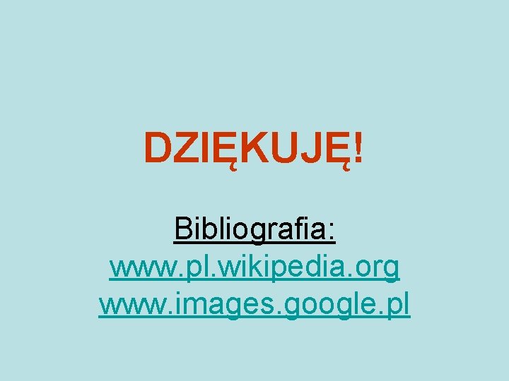 DZIĘKUJĘ! Bibliografia: www. pl. wikipedia. org www. images. google. pl 