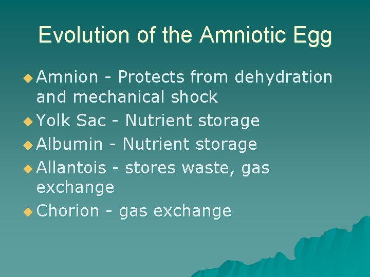 Evolution of the Amniotic Egg u Amnion - Protects from dehydration and mechanical shock