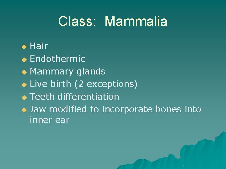 Class: Mammalia Hair u Endothermic u Mammary glands u Live birth (2 exceptions) u
