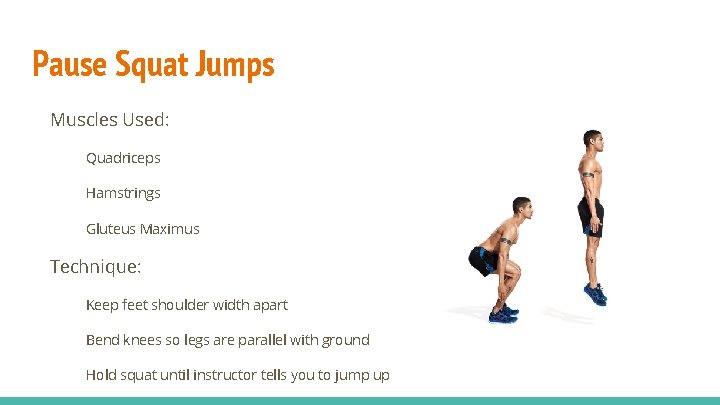 Pause Squat Jumps Muscles Used: Quadriceps Hamstrings Gluteus Maximus Technique: Keep feet shoulder width