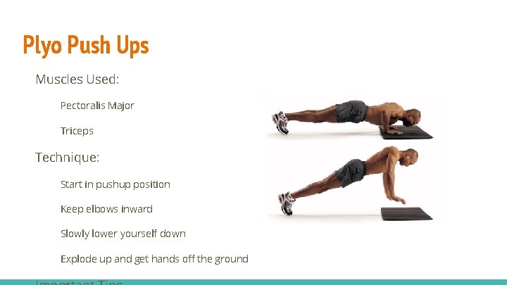 Plyo Push Ups Muscles Used: Pectoralis Major Triceps Technique: Start in pushup position Keep