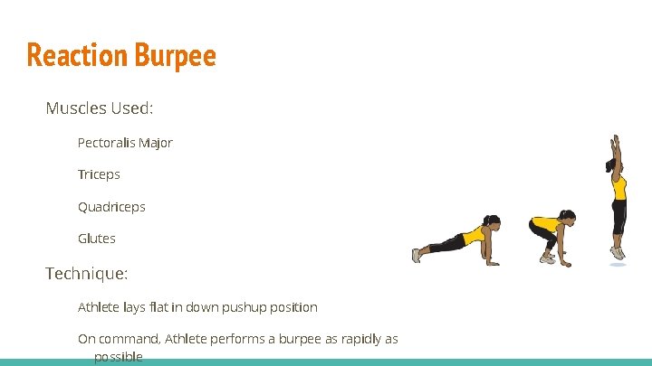 Reaction Burpee Muscles Used: Pectoralis Major Triceps Quadriceps Glutes Technique: Athlete lays flat in