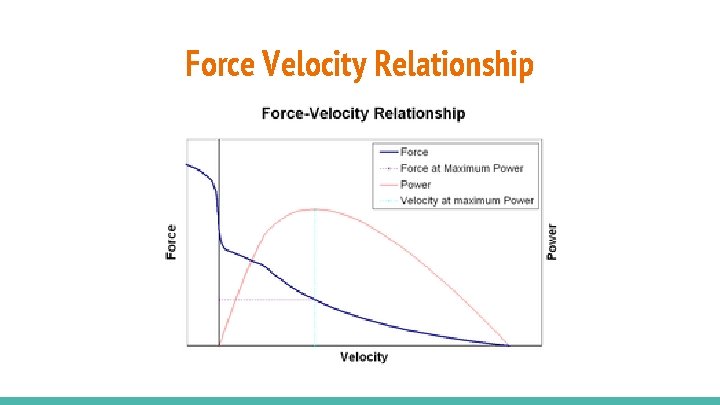 Force Velocity Relationship 