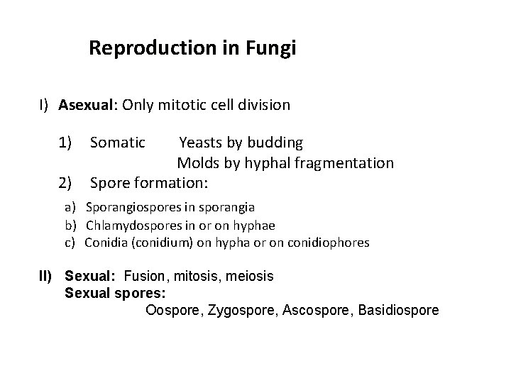 Reproduction in Fungi I) Asexual: Only mitotic cell division 1) 2) Somatic Yeasts by
