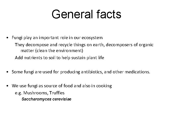 General facts • Fungi play an important role in our ecosystem They decompose and