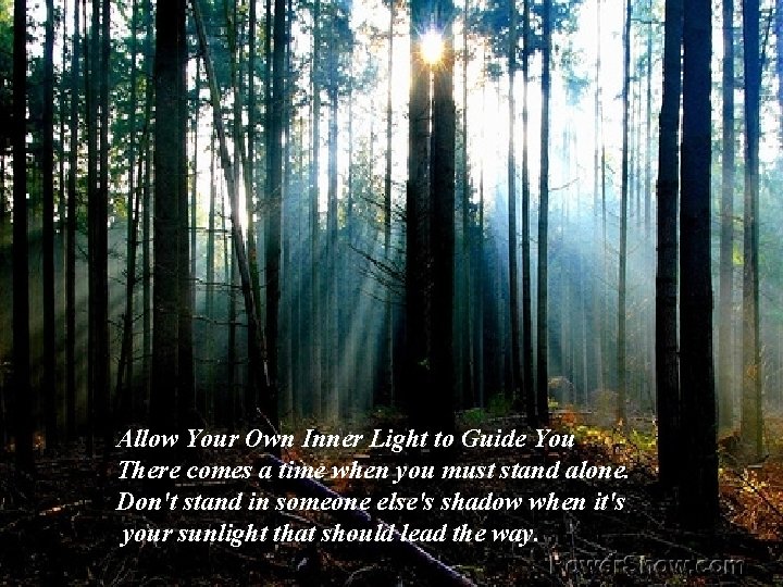 Allow Your Own Inner Light to Guide You There comes a time when you