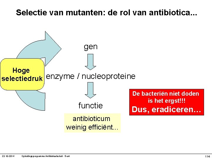 Selectie van mutanten: de rol van antibiotica. . . gen Hoge selectiedruk enzyme /
