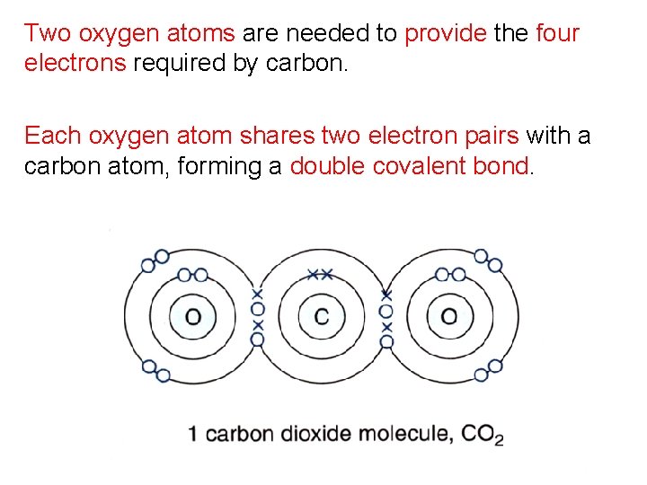 Two oxygen atoms are needed to provide the four electrons required by carbon. Each