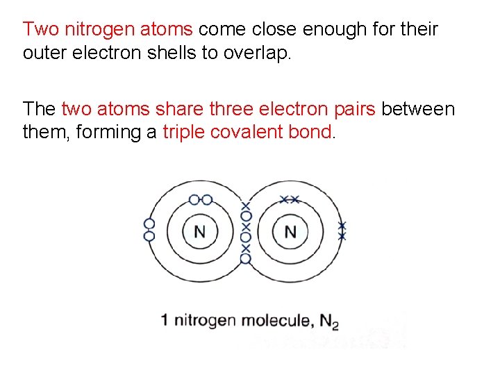 Two nitrogen atoms come close enough for their outer electron shells to overlap. The