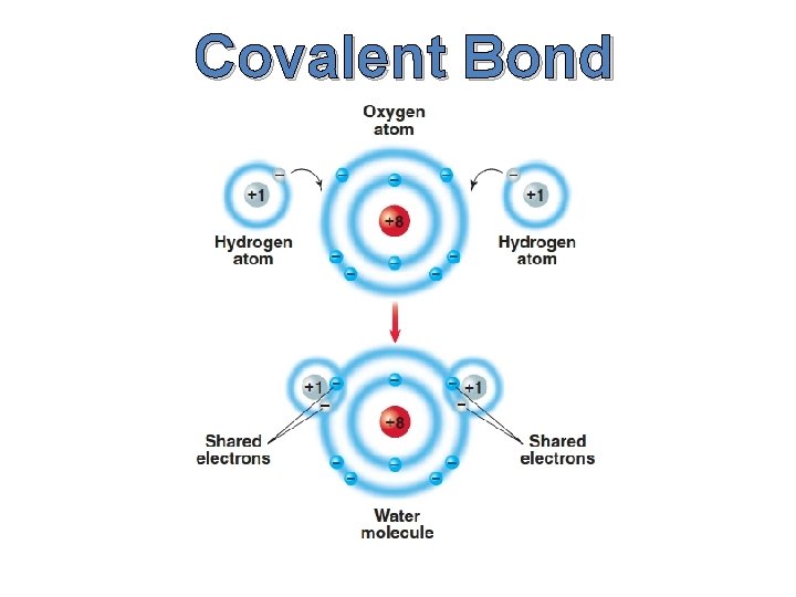 Covalent Bond 