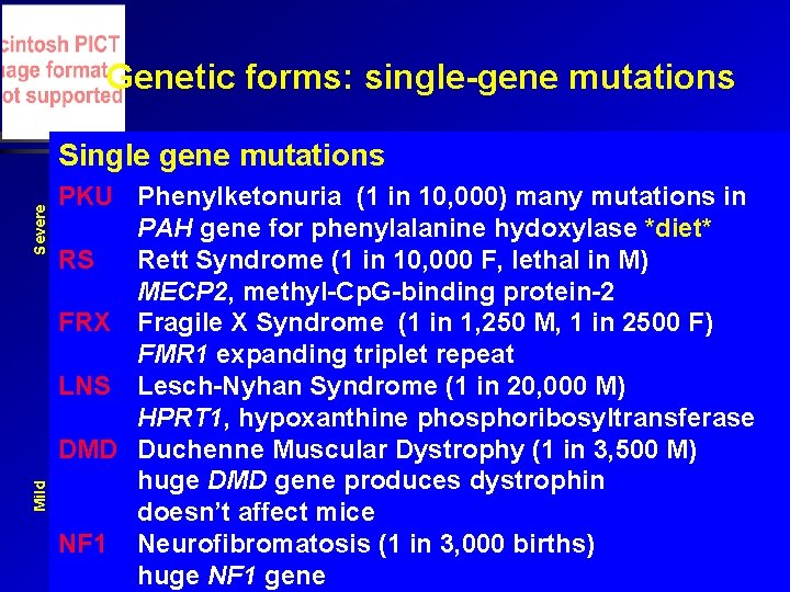 Genetic forms: single-gene mutations Mild Severe Single gene mutations PKU Phenylketonuria (1 in 10,