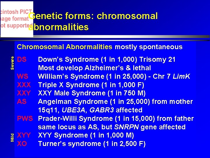 Genetic forms: chromosomal abnormalities Mild Severe Chromosomal Abnormalities mostly spontaneous DS Down’s Syndrome (1