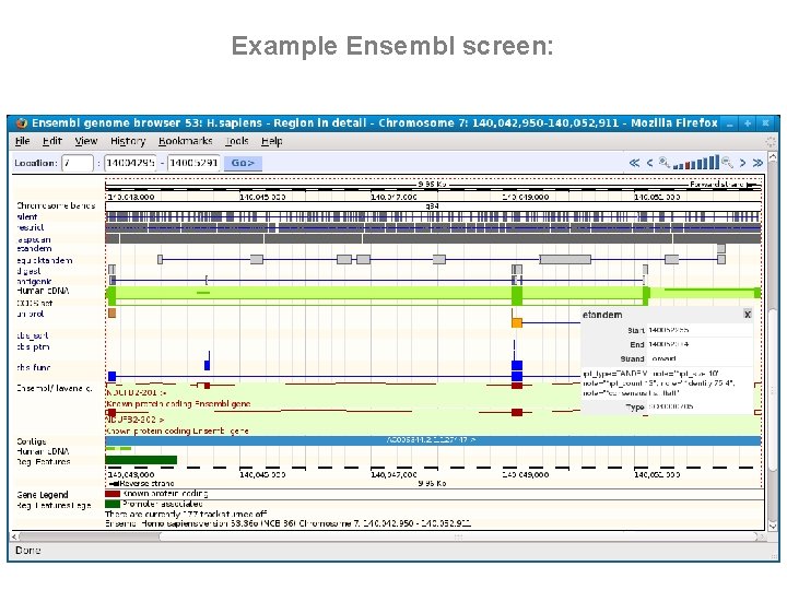 Example Ensembl screen: 