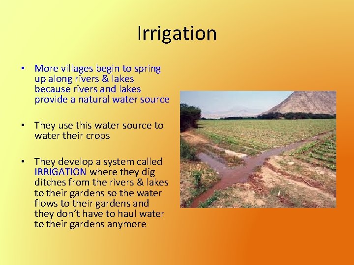 Irrigation • More villages begin to spring up along rivers & lakes because rivers