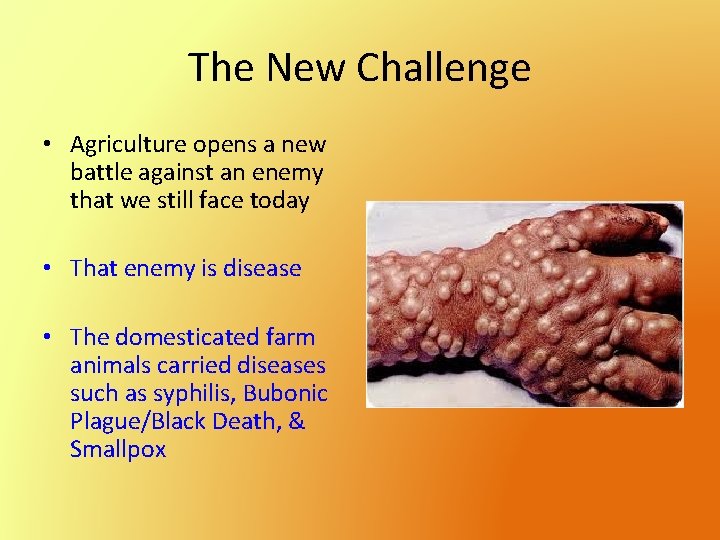 The New Challenge • Agriculture opens a new battle against an enemy that we