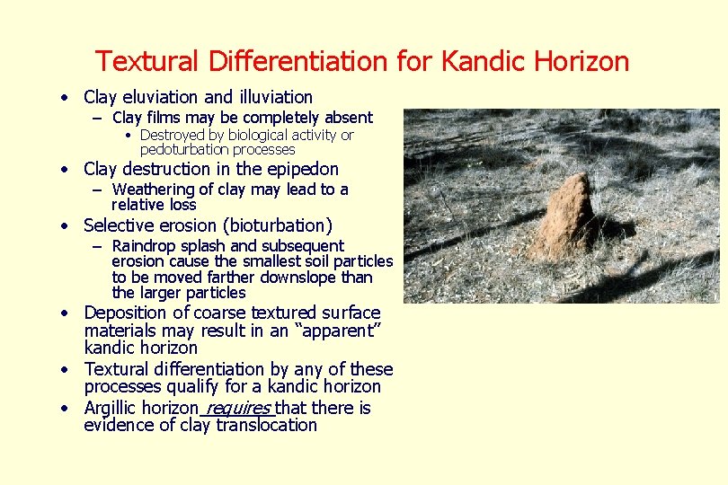 Textural Differentiation for Kandic Horizon • Clay eluviation and illuviation – Clay films may