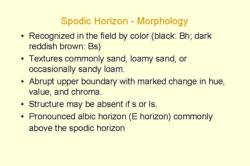 Spodic Horizon - Morphology • Recognized in the field by color (black: Bh; dark