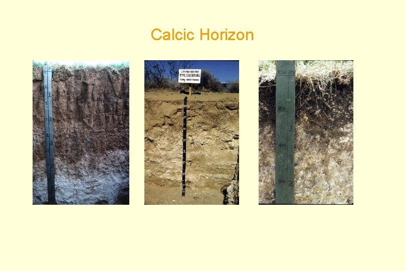 Calcic Horizon 