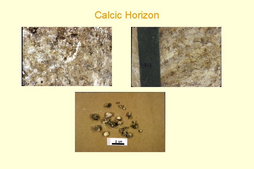 Calcic Horizon 