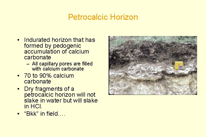 Petrocalcic Horizon • Indurated horizon that has formed by pedogenic accumulation of calcium carbonate