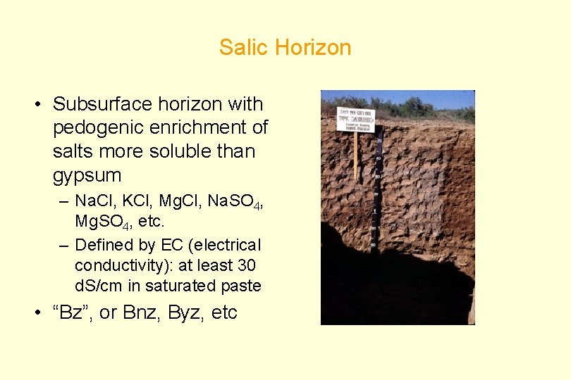 Salic Horizon • Subsurface horizon with pedogenic enrichment of salts more soluble than gypsum