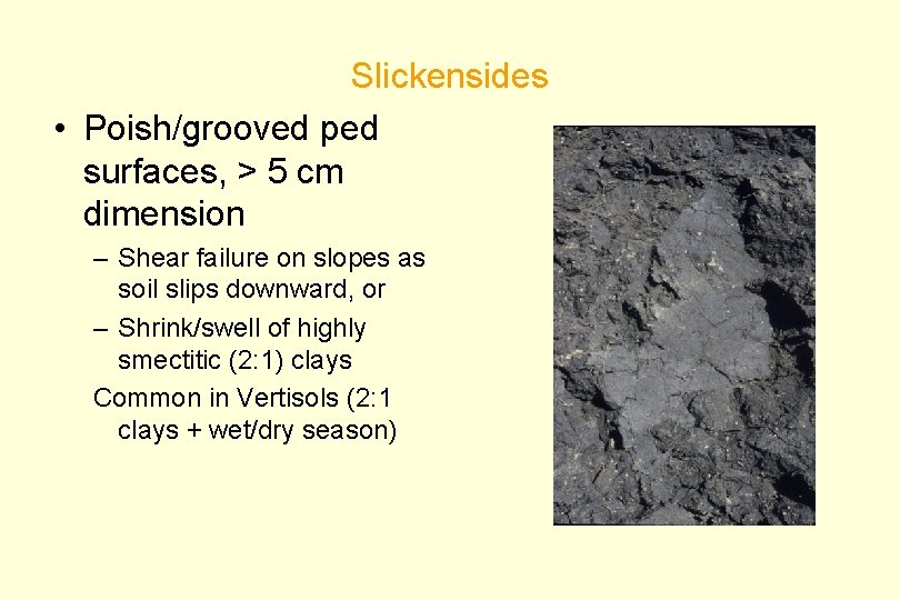 Slickensides • Poish/grooved ped surfaces, > 5 cm dimension – Shear failure on slopes